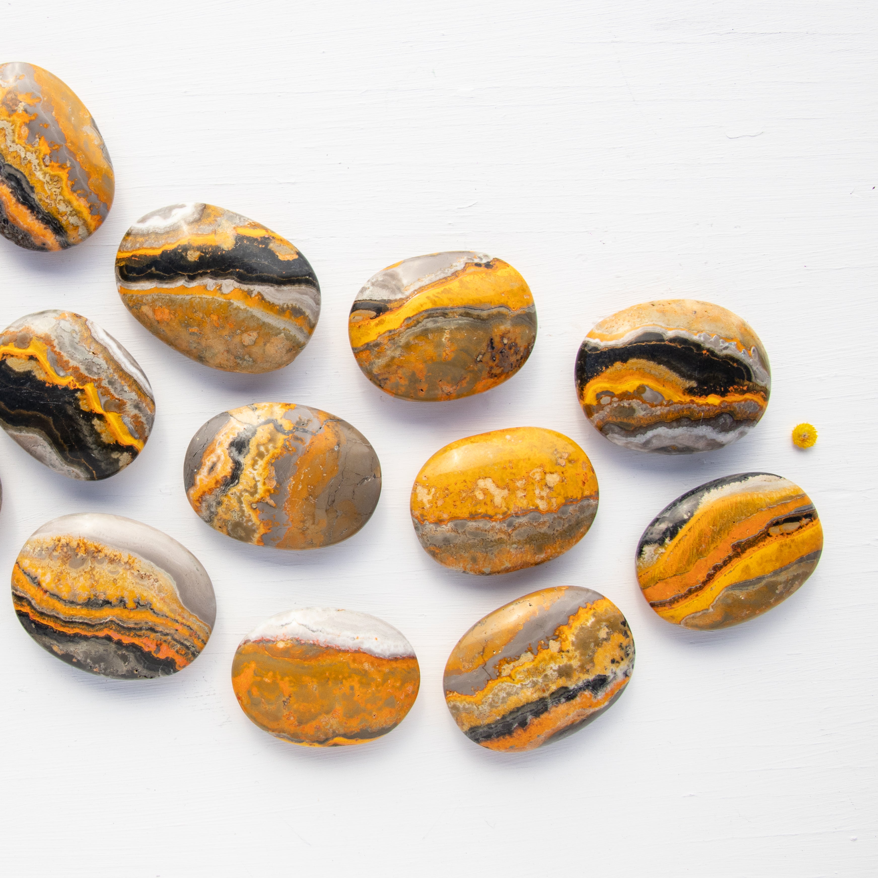 Bumblebee Jasper Large Polished sold Stone