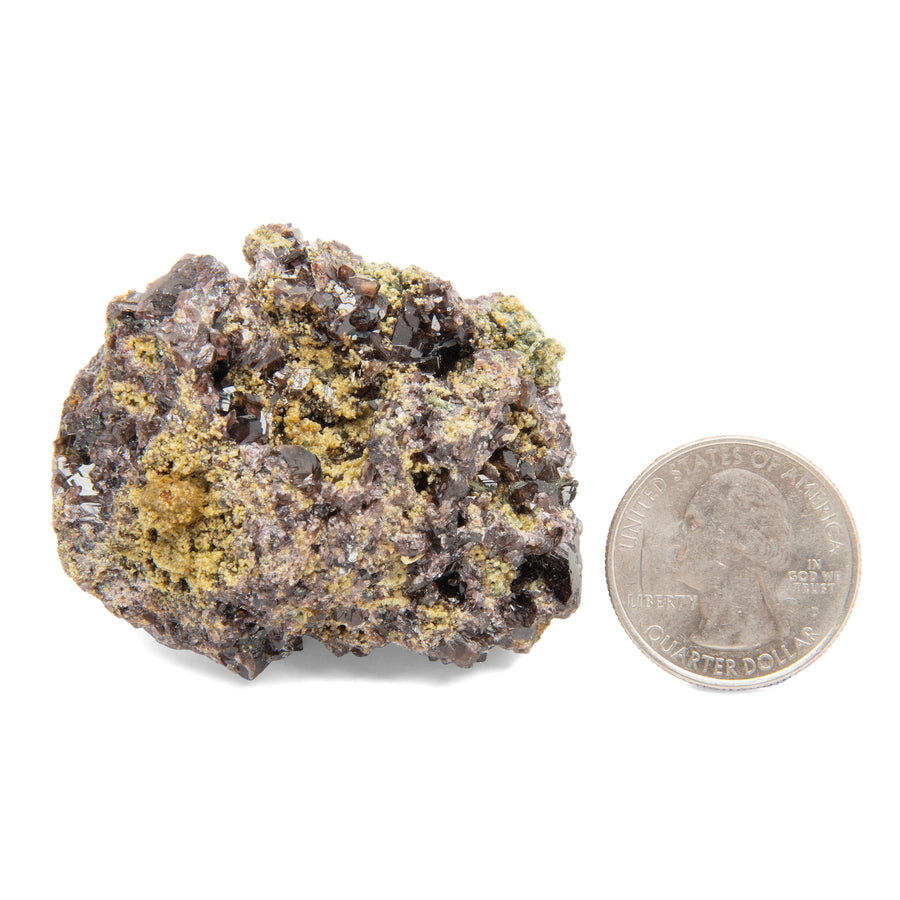 Axinite Garnet w/ Ferro Hornblende