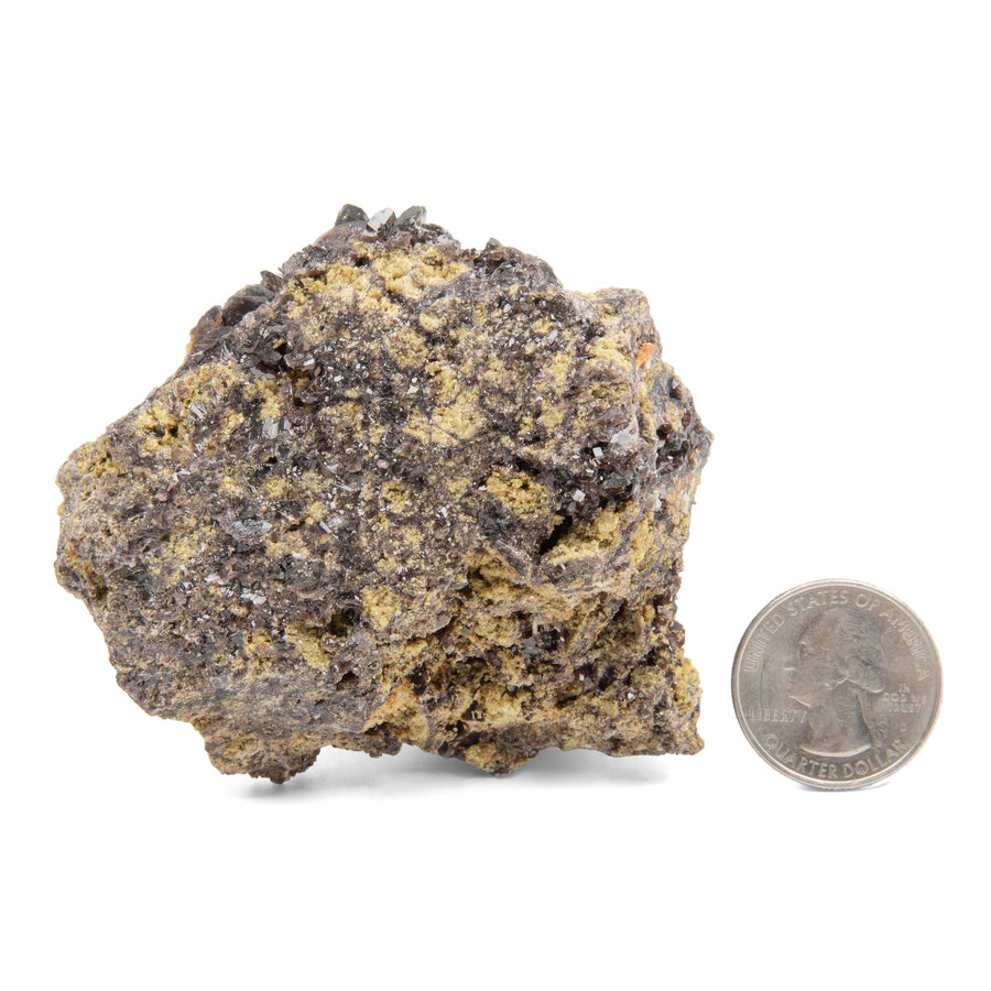 Axinite Garnet w/ Ferro Hornblende