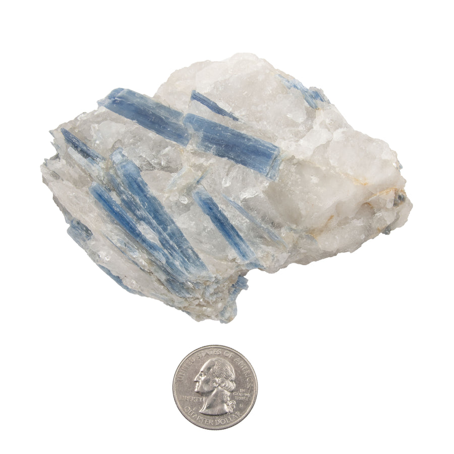 Blue Kyanite w/ Quartz