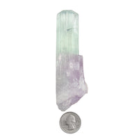 Kunzite, Bi-Colored