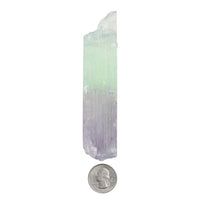 Kunzite, Bi-Colored