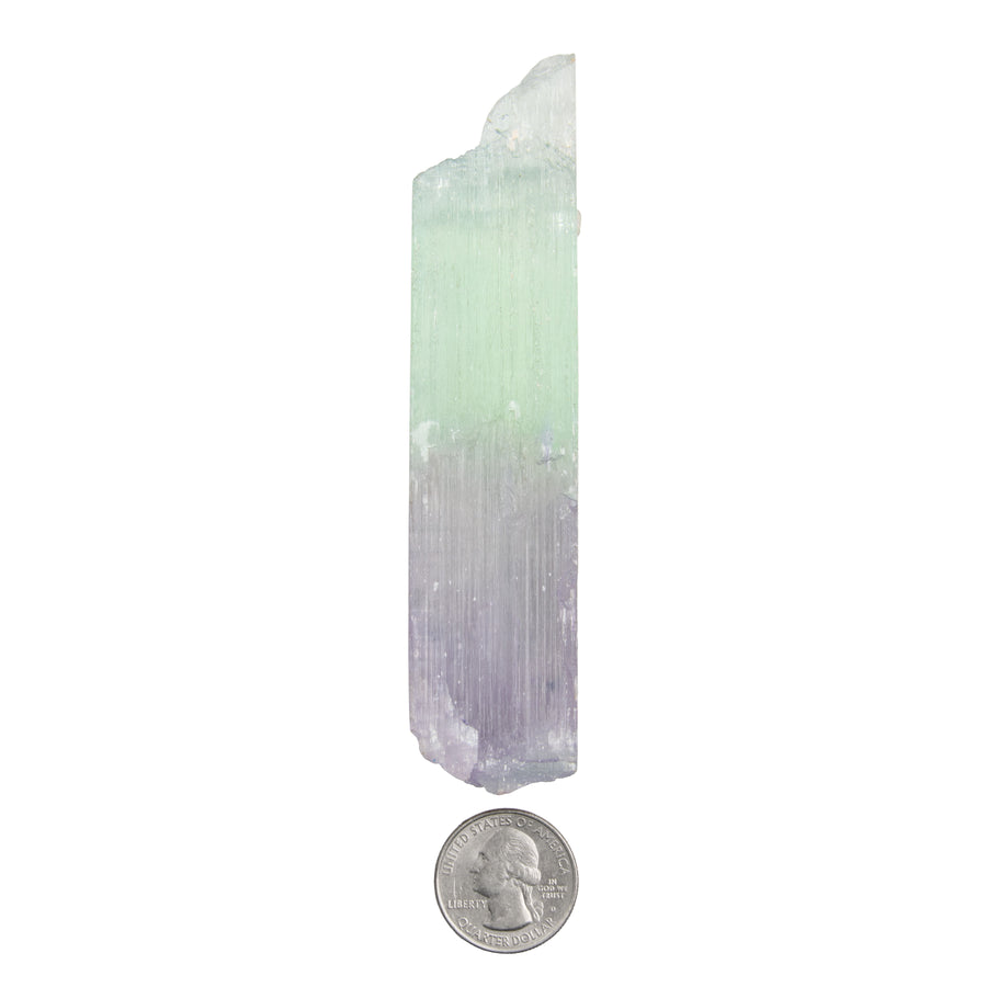 Kunzite, Bi-Colored