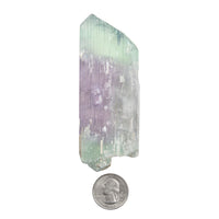 Kunzite, Bi-Colored