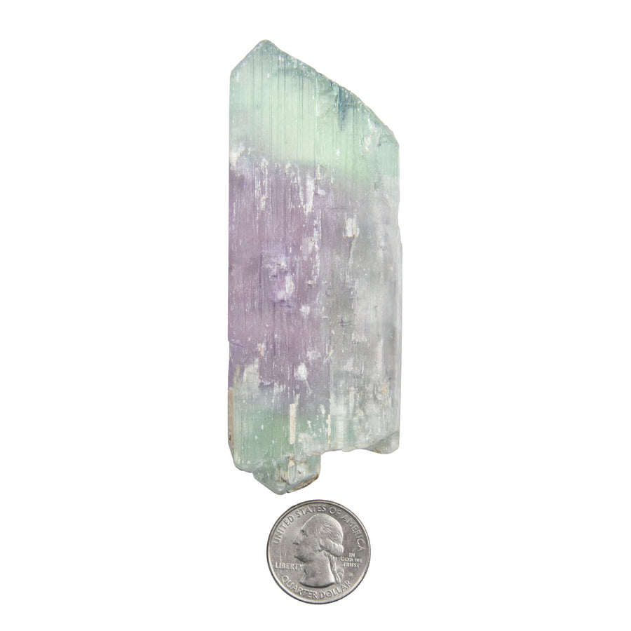 Kunzite, Bi-Colored