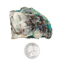 Chrysocolla w/ Quartz - Rough