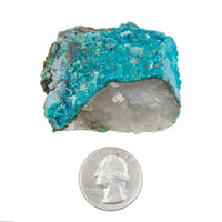 Chrysocolla w/ Quartz - Rough