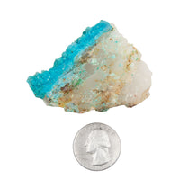 Chrysocolla w/ Quartz - Rough