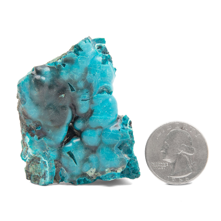 Chrysocolla w/ Gem Silica - Rough