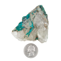 Chrysocolla w/ Quartz - Rough