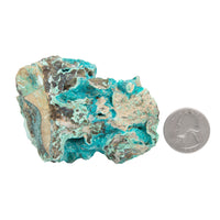 Chrysocolla w/ Gem Silica - Rough