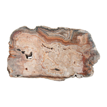 Agate, Crazy Lace - Slab