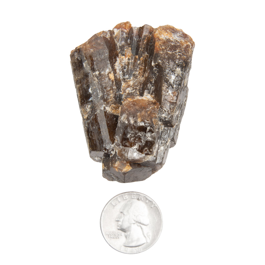 Dravite - Brown Tourmaline