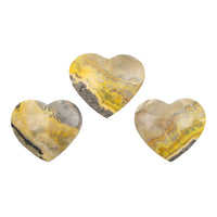 Jasper - Bumble Bee, Dark & Light Hearts