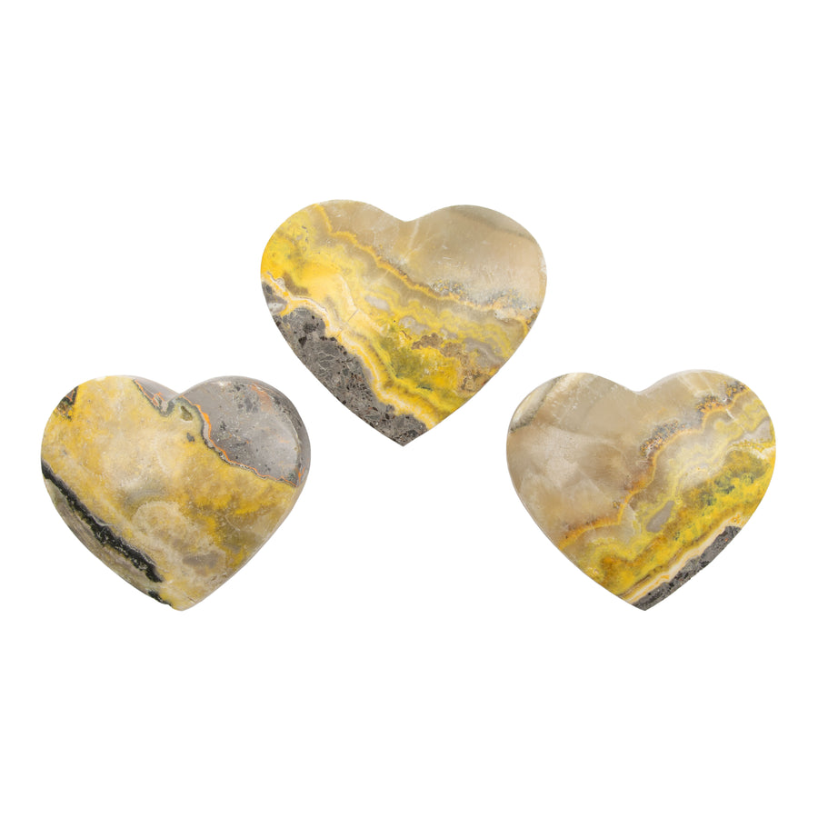 Jasper - Bumble Bee, Dark & Light Hearts