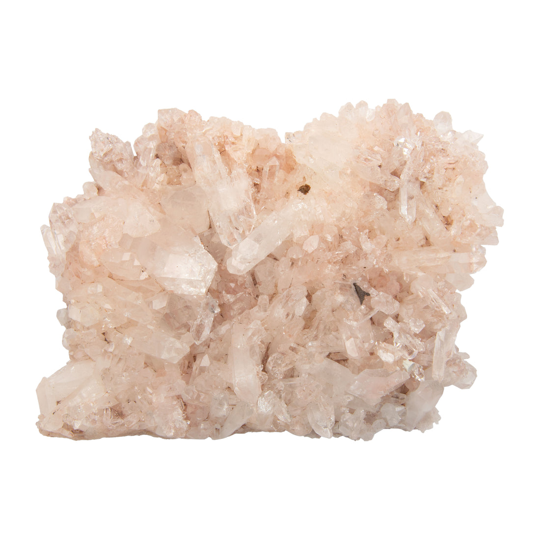 Pink Lemurian