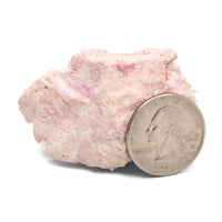 Rhodochrosite Specimen - with Quartz