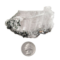 Selenite with Pyrite